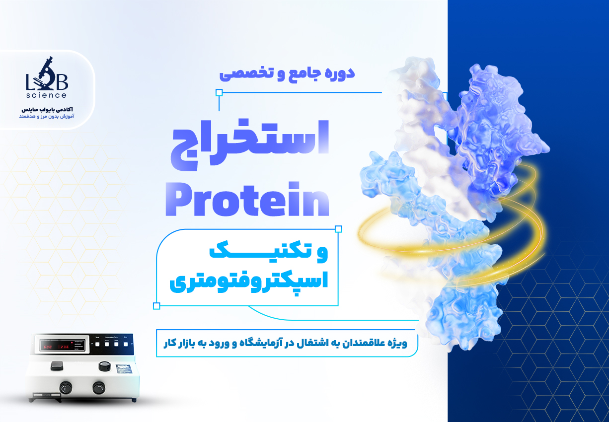 تصویر شاخص